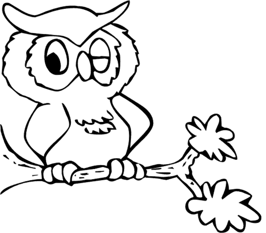 Owl To Color Clipart - Clipart Kid