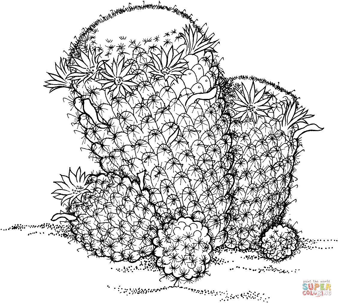 Desert plants coloring pages | Free Printable Pictures