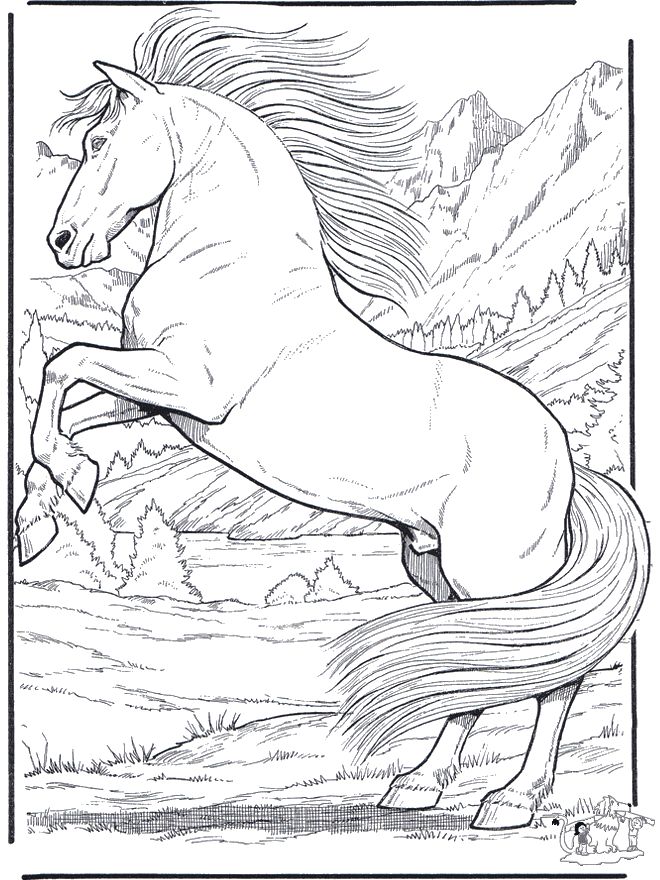 Realistic Horse Coloring Page