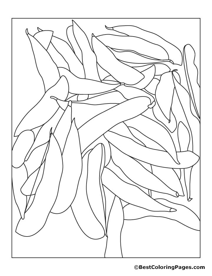 soybeans coloring pages | Download Free soybeans coloring pages 