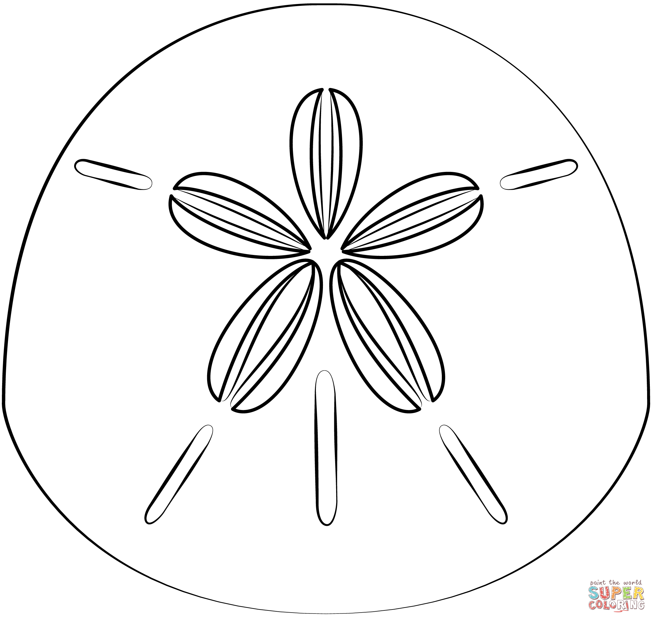 Sand Dollar coloring page | Free Printable Coloring Pages