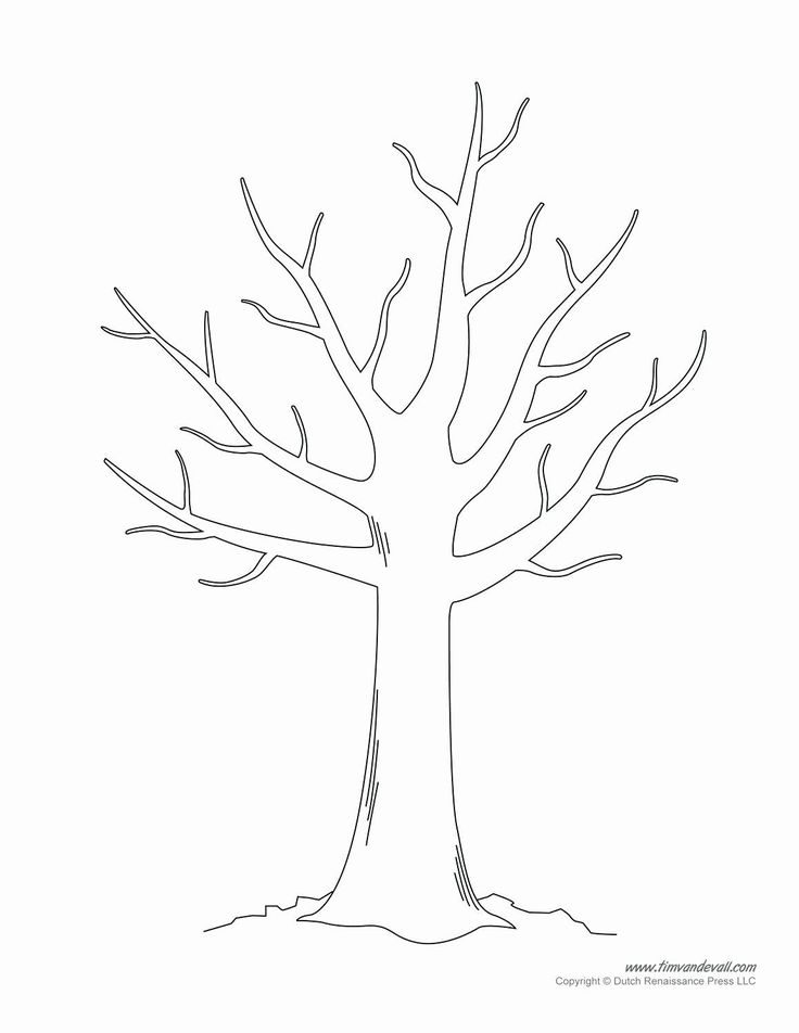 Tree Branch Coloring Page | Tree coloring page, Leaf coloring page, Fall coloring  pages