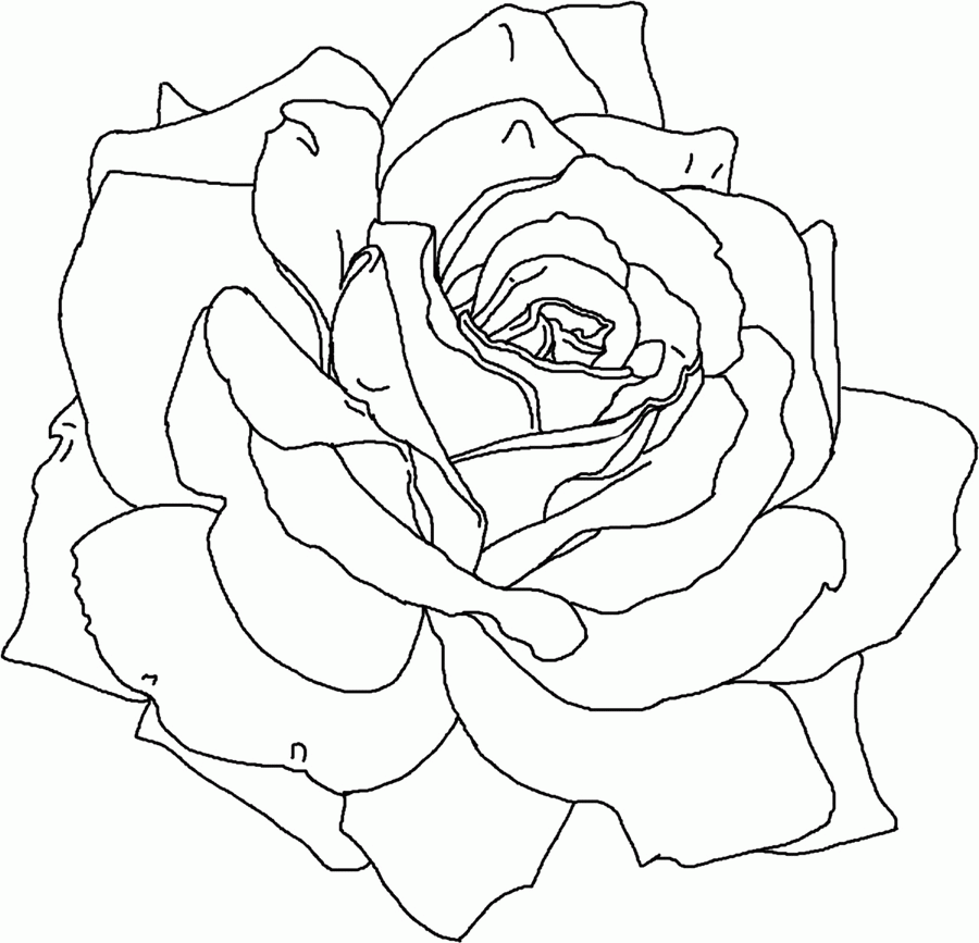 Flower Coloring Pages For Adults
