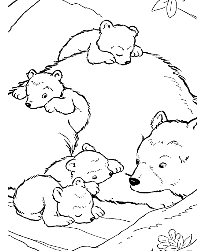 Cartoon Animal Coloring Pages Bear - Coloring Pages For All Ages