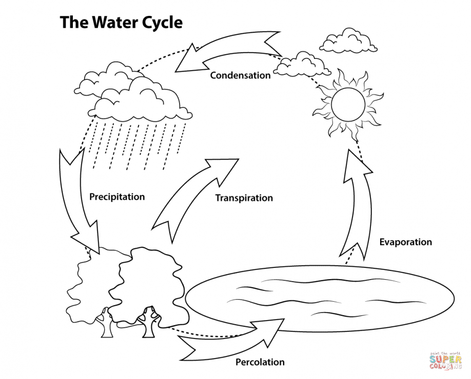 Water Cycle Coloring Pages - Coloring Home
