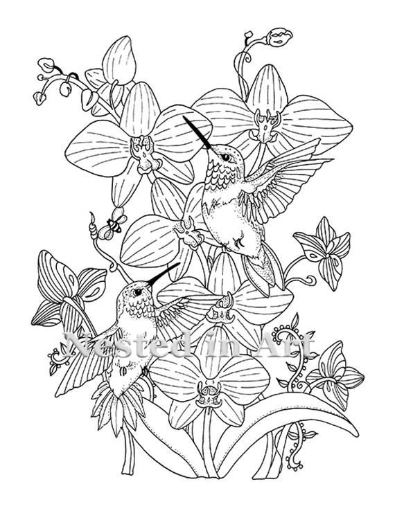 Adult Coloring Page - Hummingbirds and Orchids Digital Download - Punch  Needle Pattern
