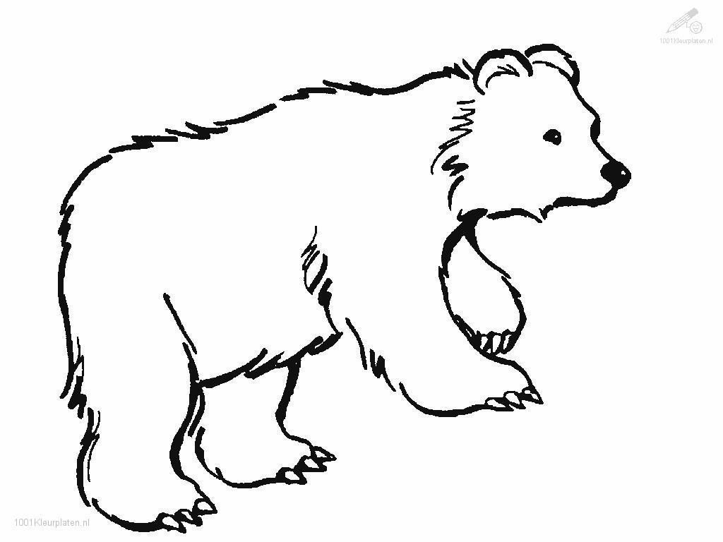Brown Bear Coloring Pages - Whataboutmimi.com