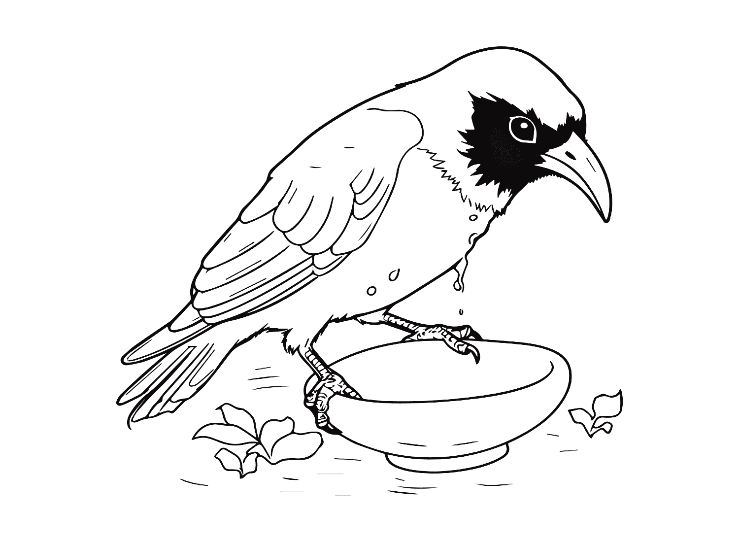 Crow Coloring Pages - Coloring Pages For Kids And Adults