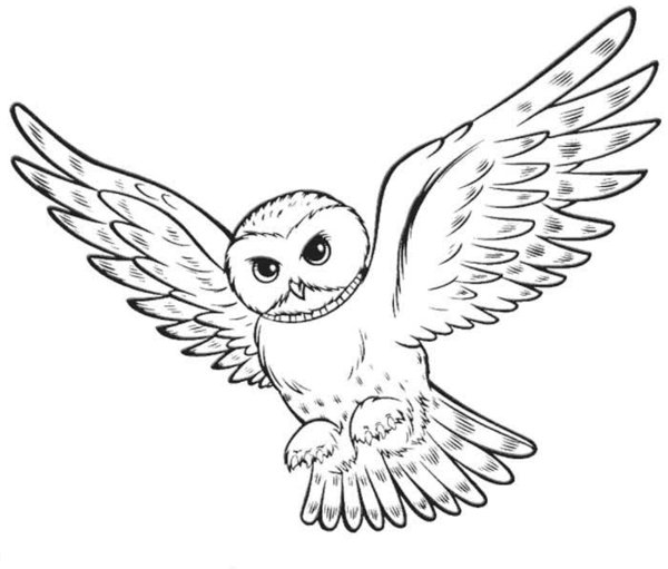 Harry Potter Owl Coloring Pages - Get ...