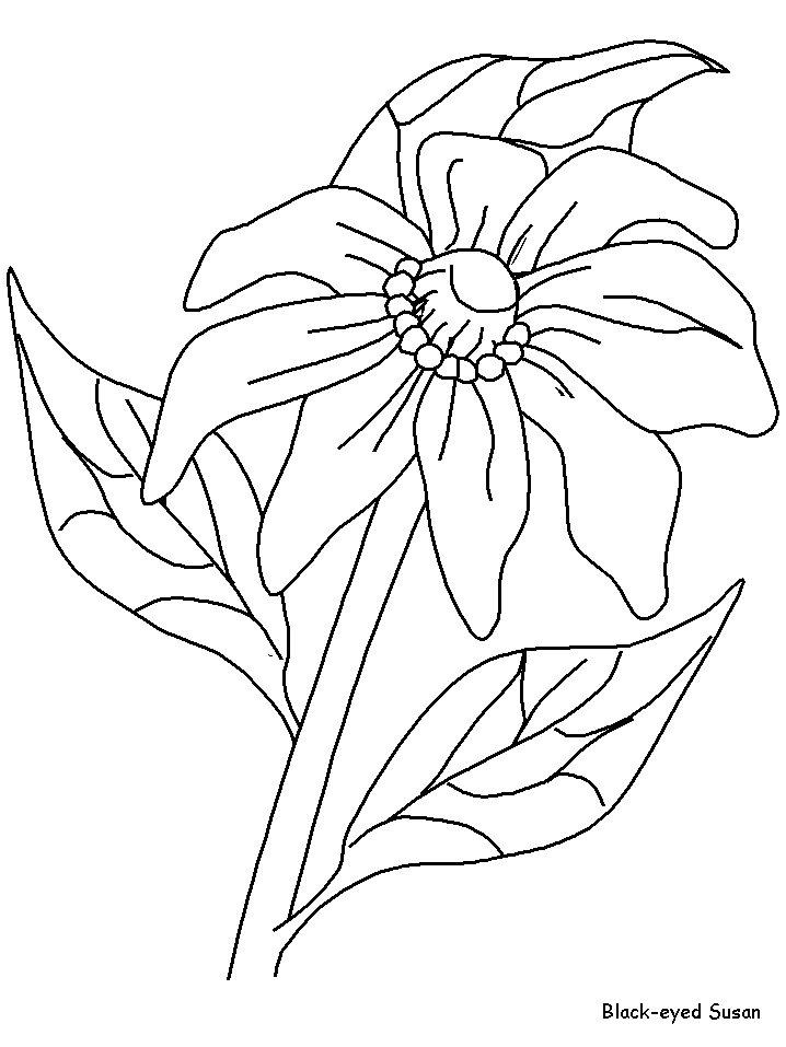 Spring Flower Bouquet Coloring Sheets