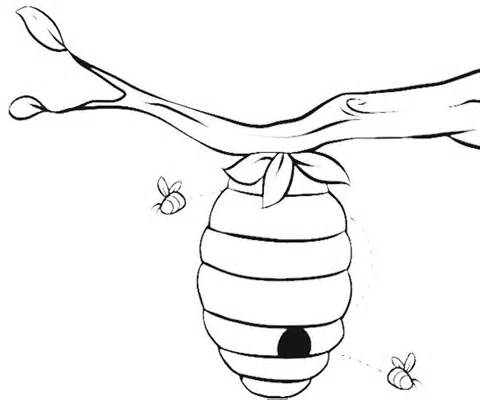 Bee Hive Coloring Sheet Coloring Pages