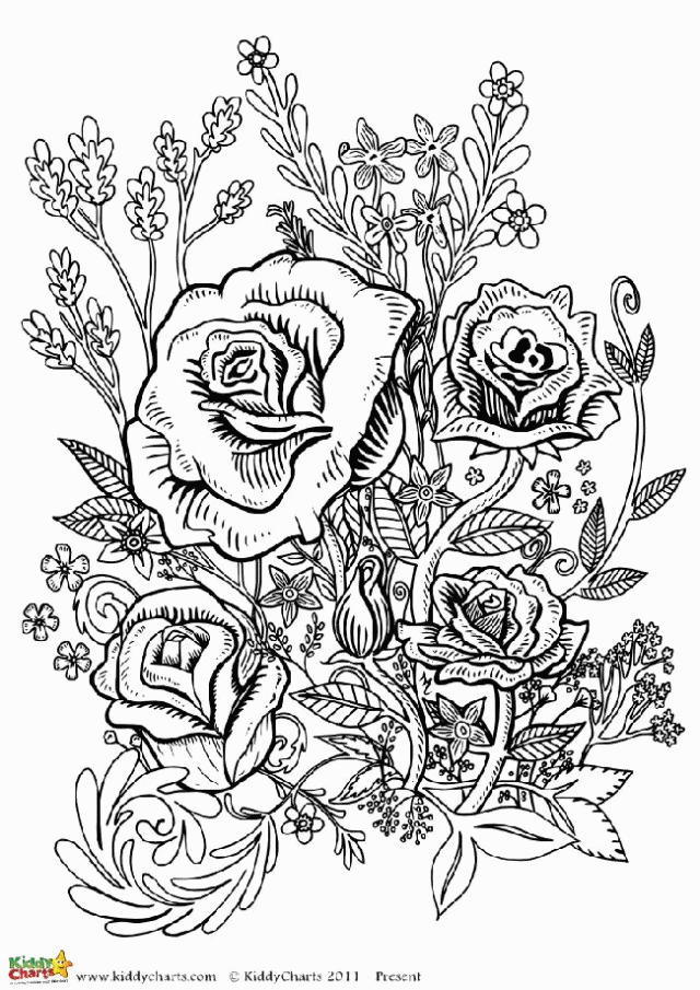 Four free flower coloring pages for adults