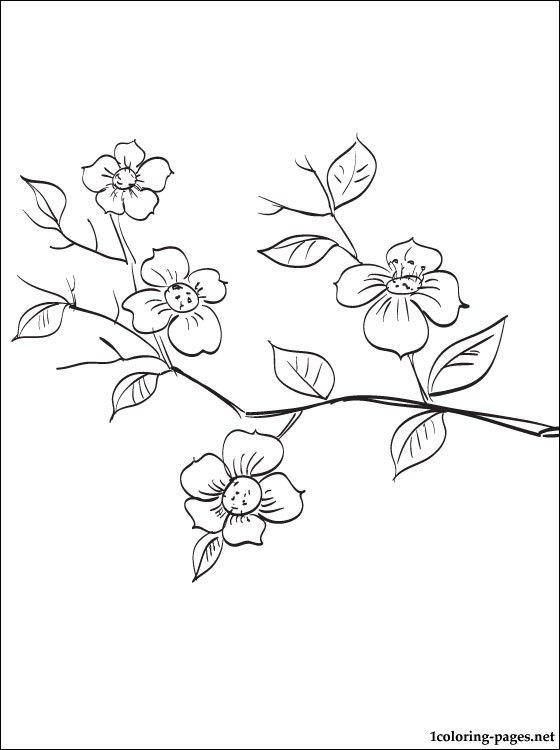 Flowering fruit tree branch coloring page | Coloring pages | Tree coloring  page, Blossom tree tattoo, Flower outline tattoo
