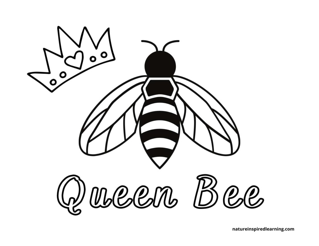 Busy Bee Coloring Pages for Kids - Nature Inspired Learning