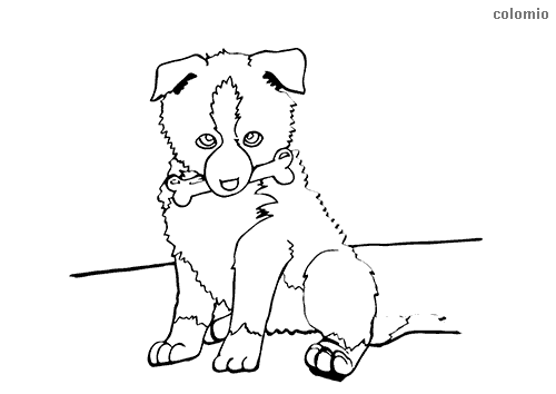 Dogs coloring pages » Free & Printable » Dog coloring sheets