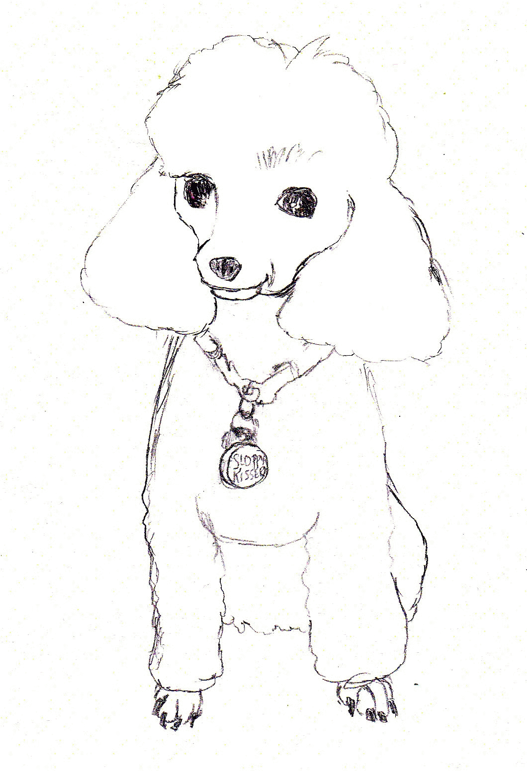 Poodle Dog Coloring Coloring Pages