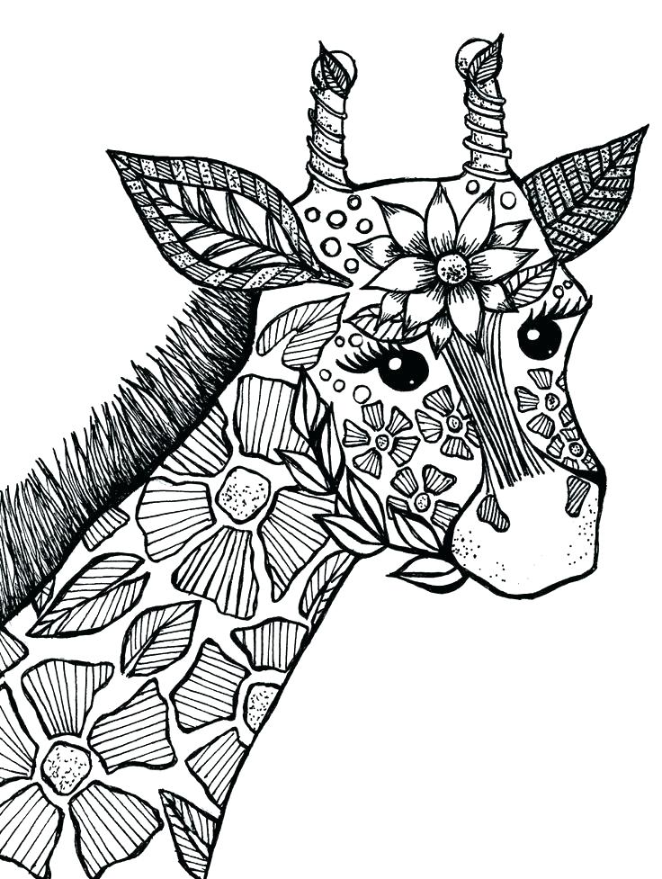 Animal Coloring Pages For Adults Gallery - Whitesbelfast