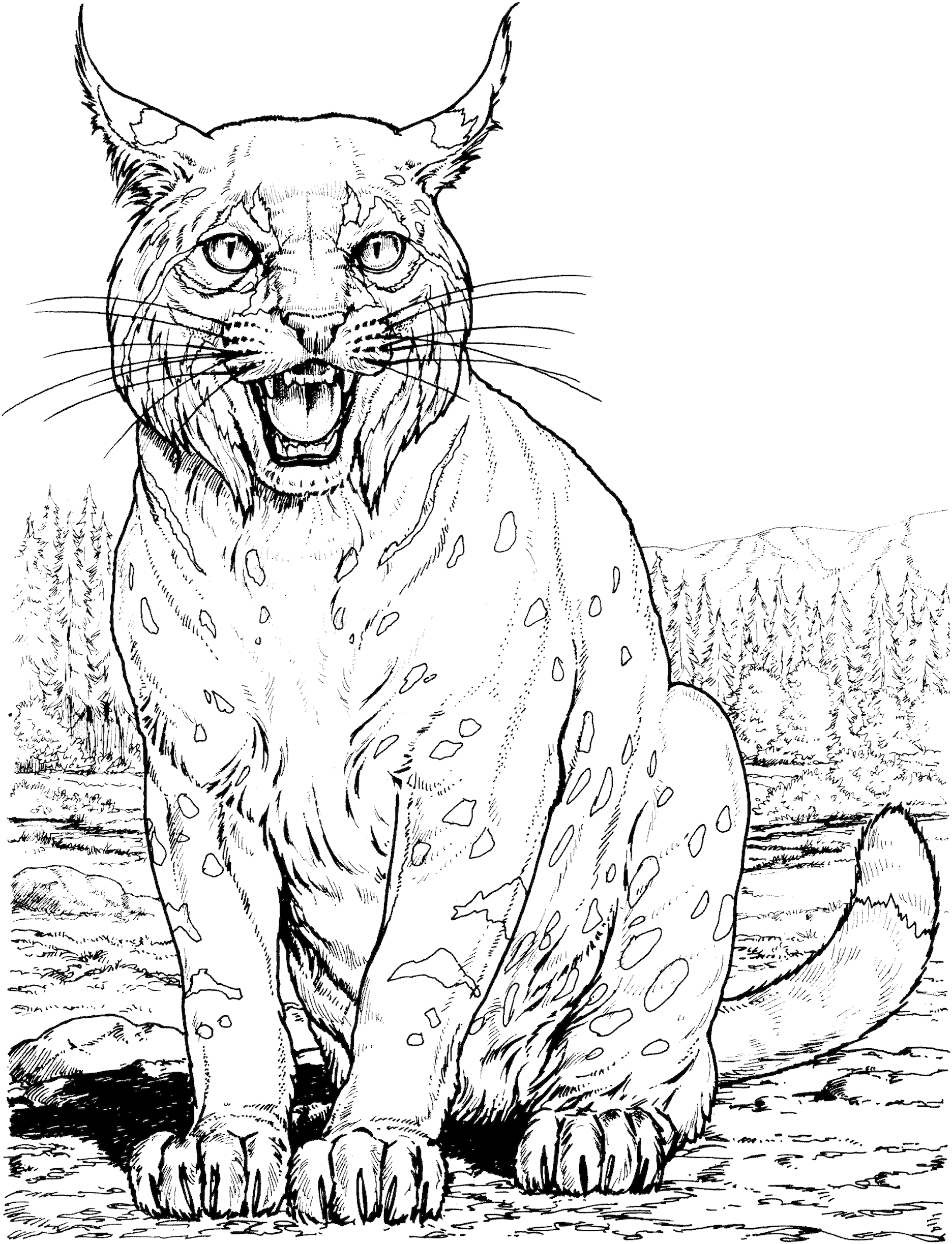 Top 10 Wild Cat Coloring Pages And More Free Printable Coloring Themes