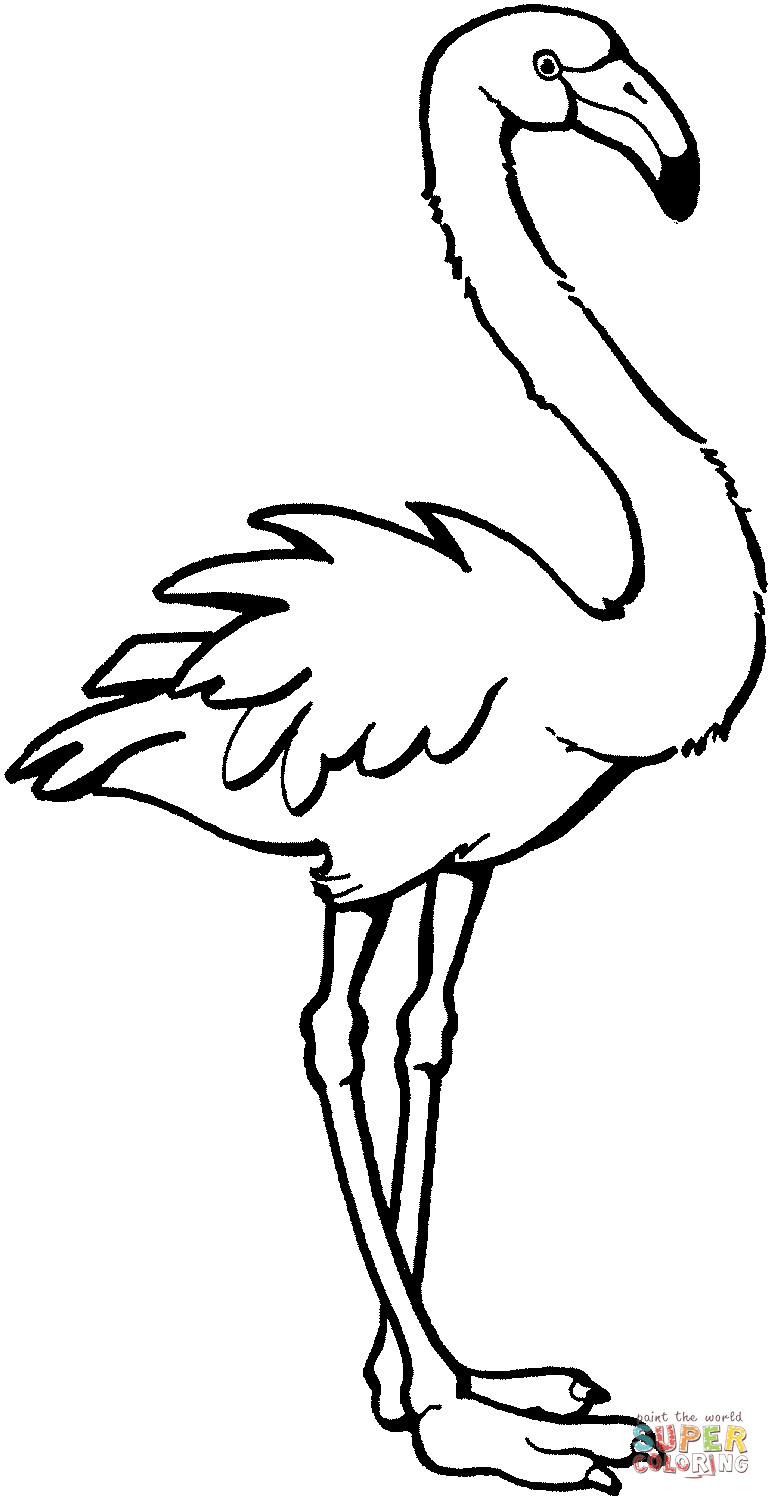 Flamingo coloring page | Free Printable Coloring Pages