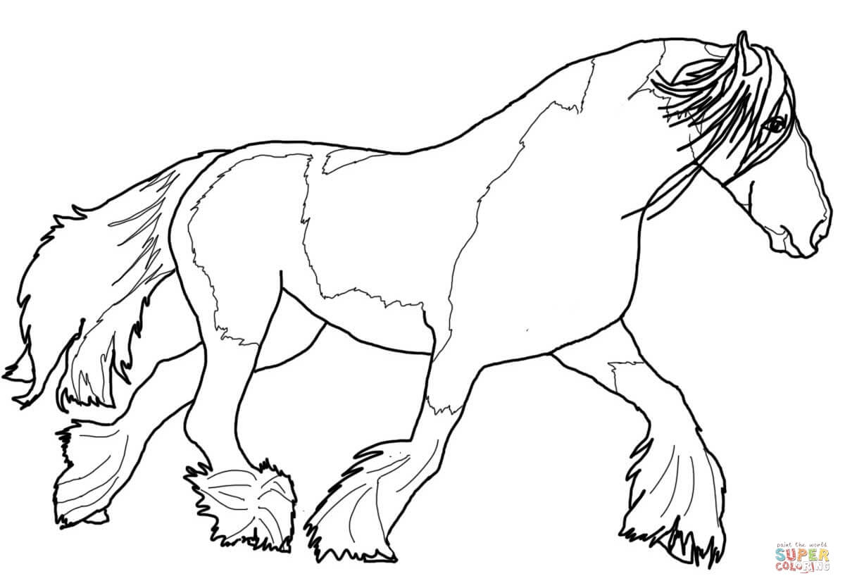 Gypsy Vanner Horse coloring page | Free Printable Coloring Pages