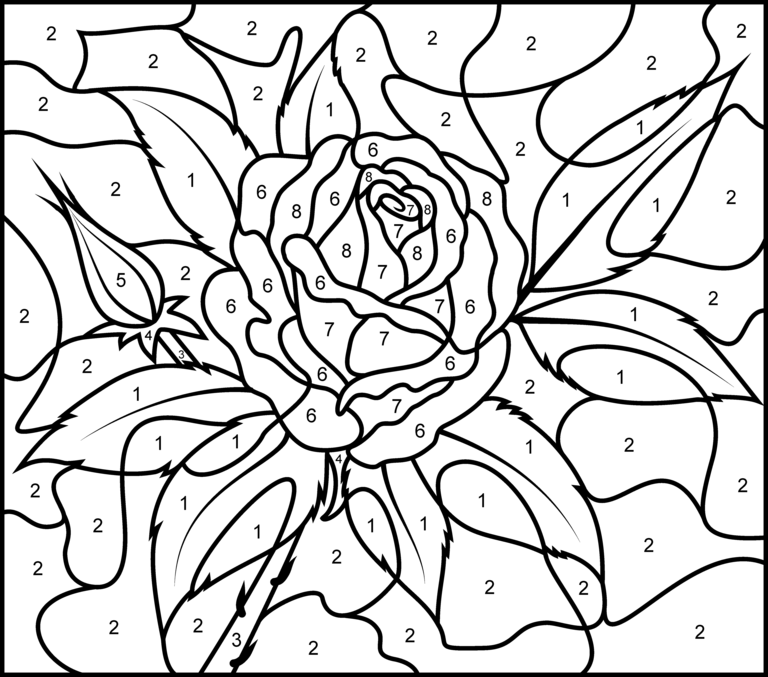 Rose - Printable Color by Number Page - Hard | Rose coloring pages ...