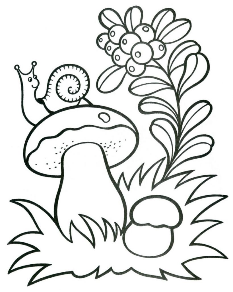 Printable Mushroom Coloring Pages For Kids   Coloring Home