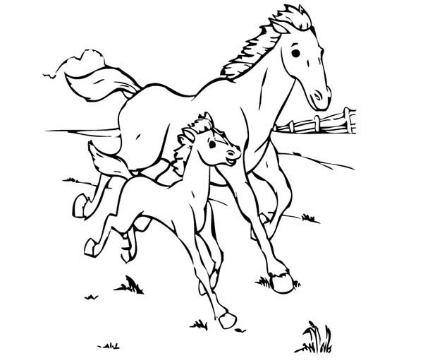 Horse And Foal Coloring Pages at GetDrawings.com | Free for ...