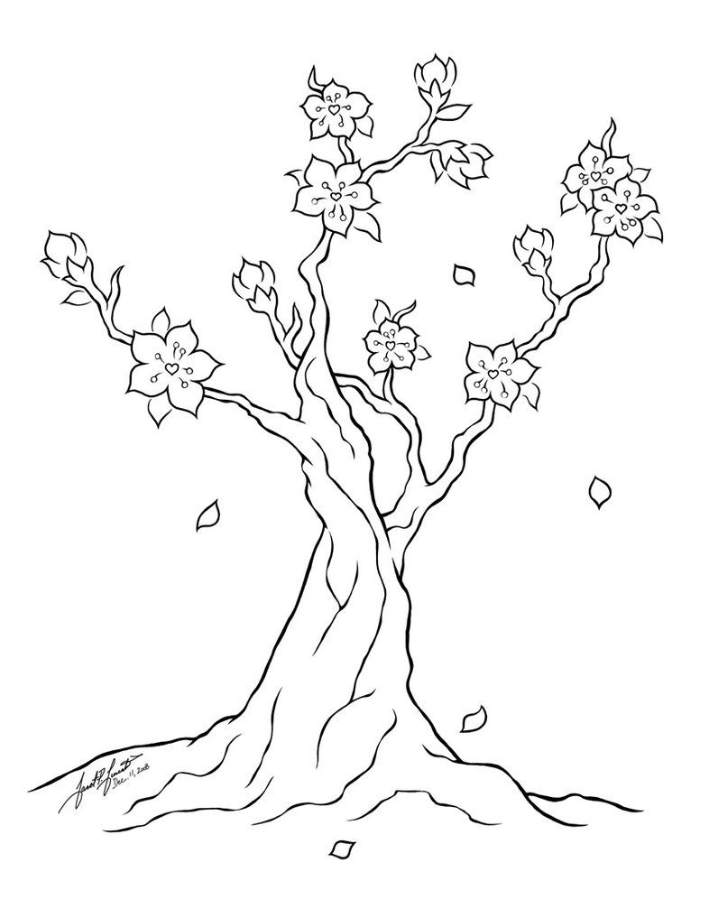 Blossom Coloring Pages printable cherry blossom coloring pages ...