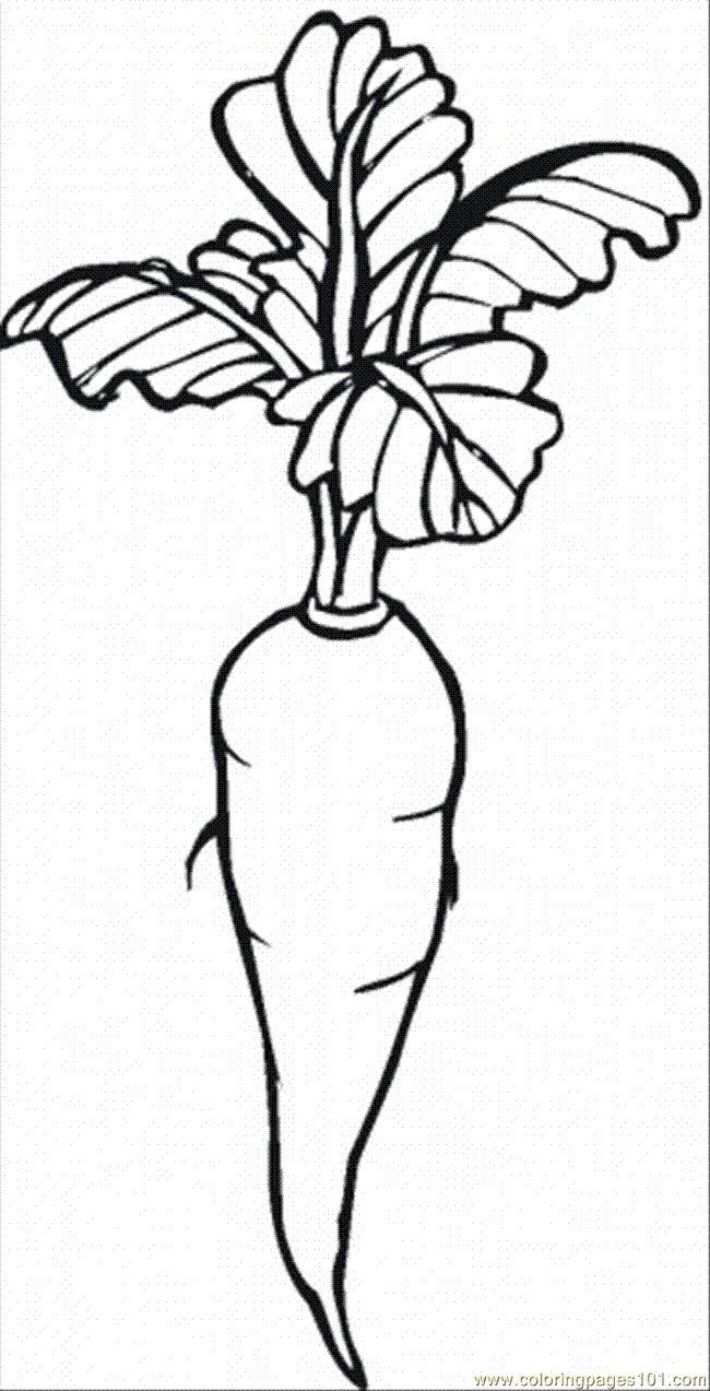 Carrot - Black And White Outline - Coloring Page-free - Coloring Home