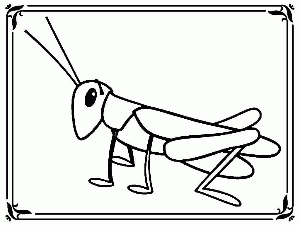 Grasshopper Coloring Sheets | Realistic Coloring Pages