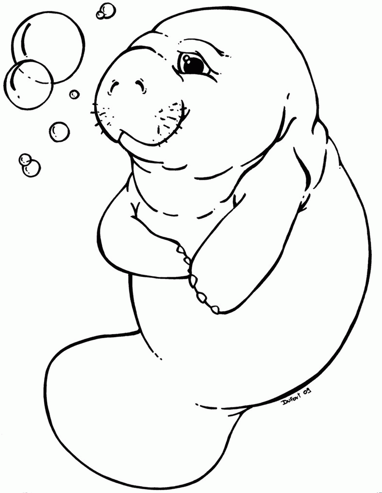 9 Pics of Cute Manatee Coloring Page - Manatee Coloring Page ...