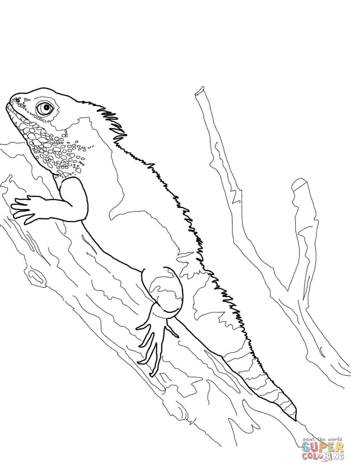 356 Unicorn Bearded Dragon Coloring Page for Adult