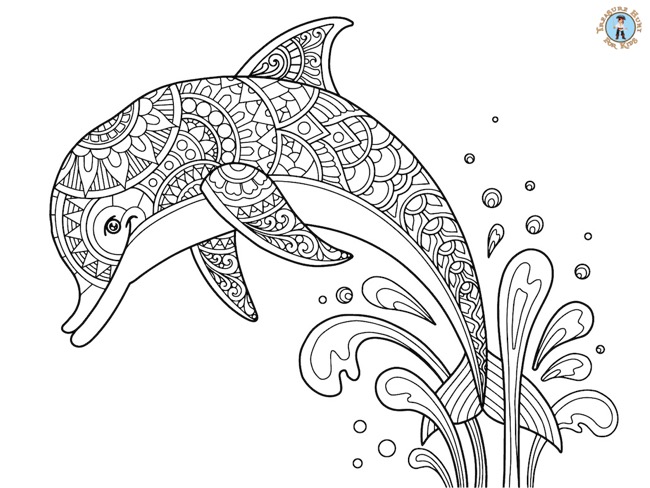 Dolphin Detailed Coloring Page - Treasure hunt 4 Kids