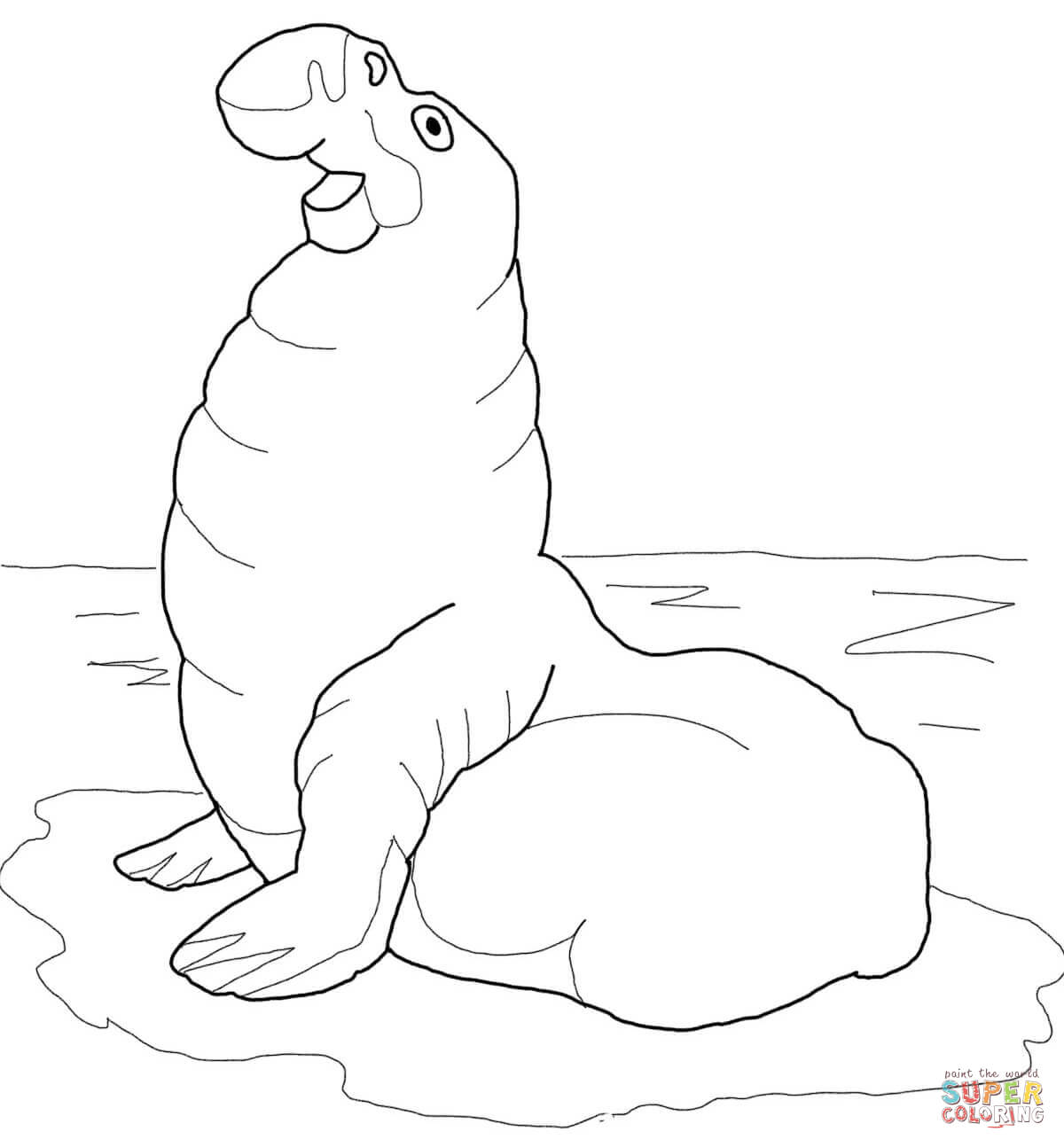 Seals coloring pages | Free Coloring Pages