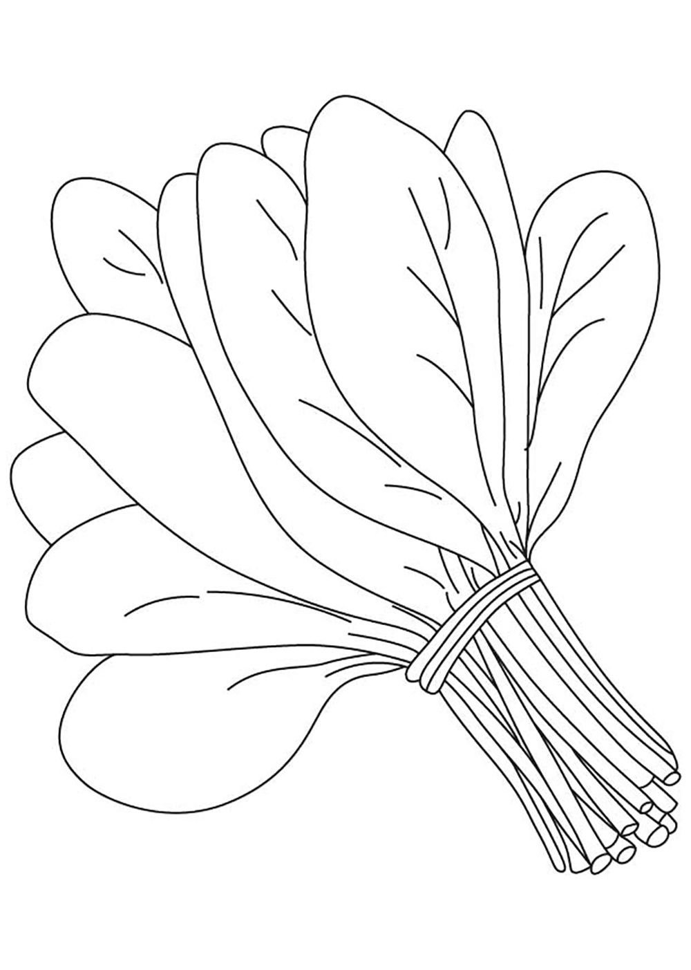 Spinach bunch coloring book to print and online
