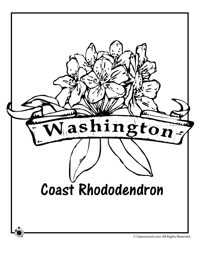 Washington State Flower Coloring Page - Woo! Jr. Kids Activities