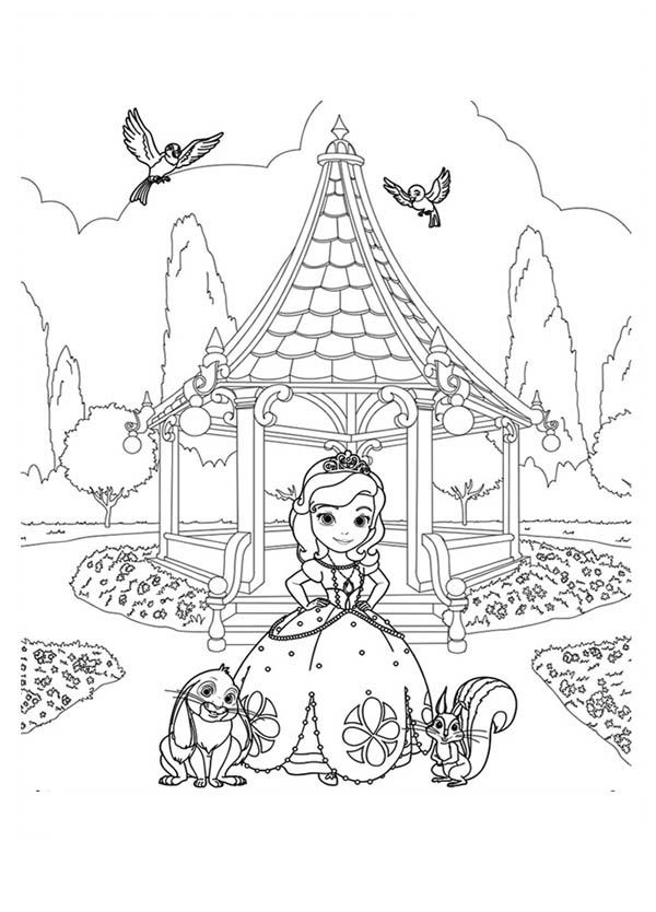 clover from sofia the first coloring pages 12 - VoteForVerde.com