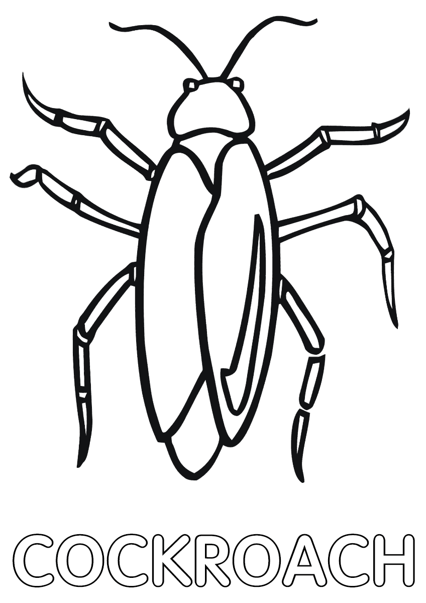 Cockroach coloring pages | Coloring pages to download and print