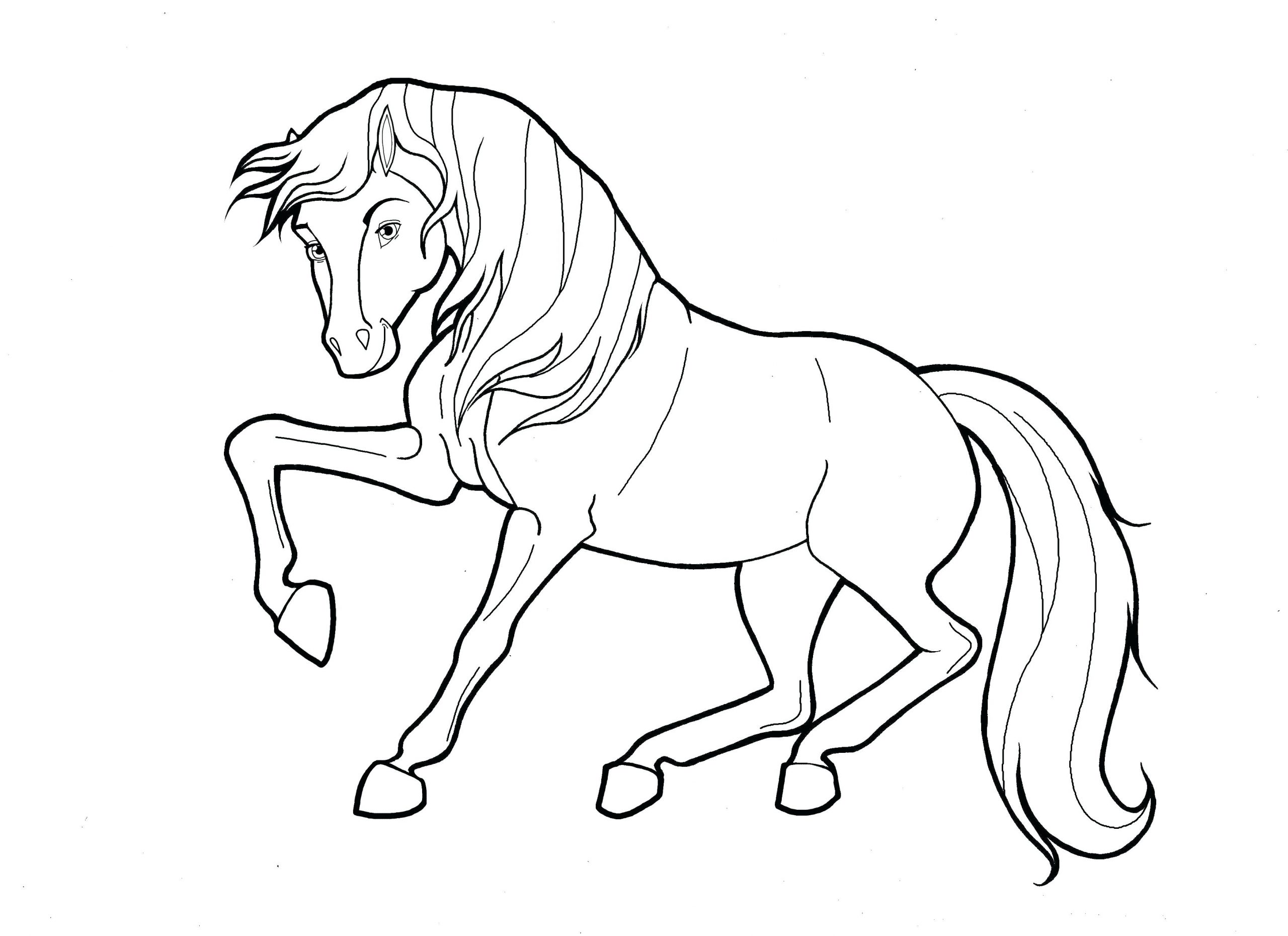 Horse Coloring Pages Printable Sheet Detail Free For Adults Sheets –  Stephenbenedictdyson