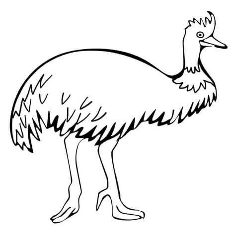Walking Emu Coloring page | Coloring pages, Printable coloring pages, Free  printable coloring pages
