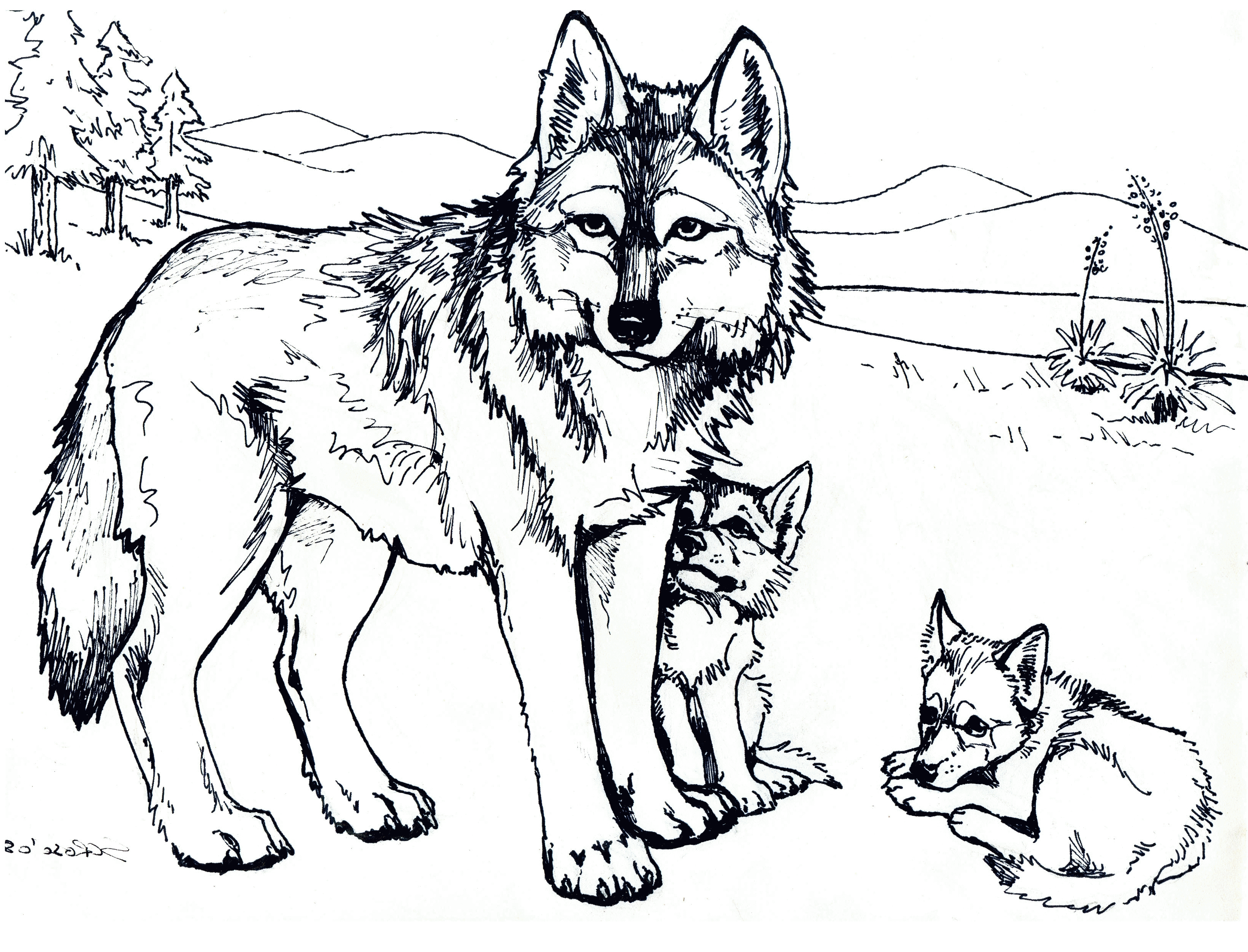 Coloring Pages Of Wolves For Kids Coloring Pages