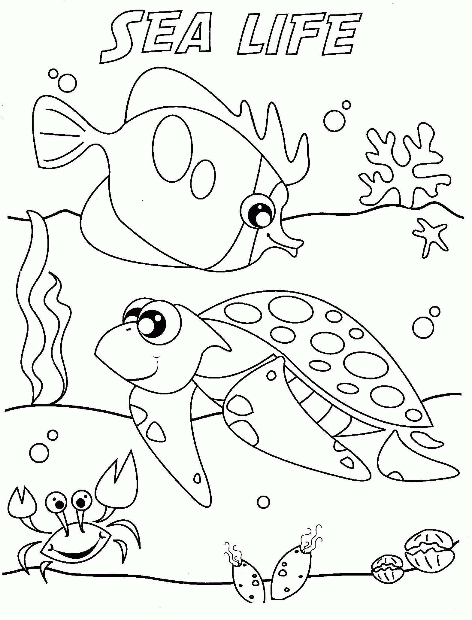 Marine life coloring pages | www.veupropia.org
