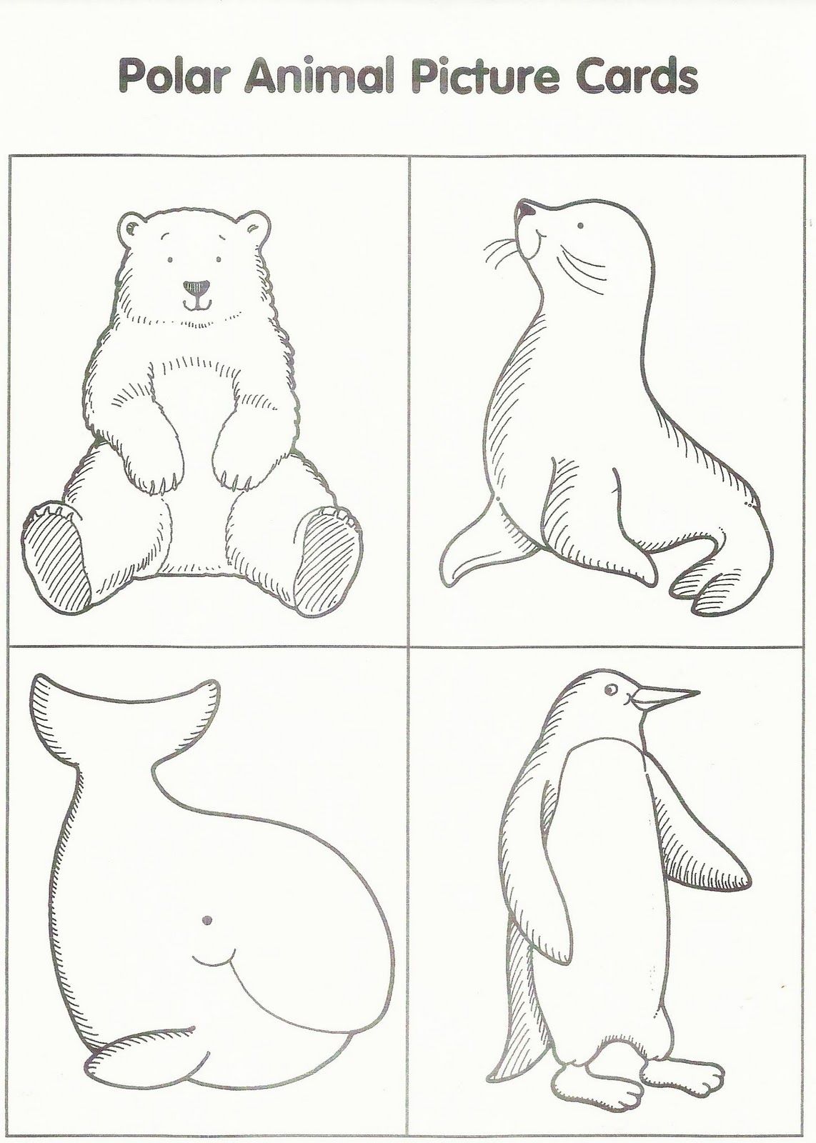 Arctic Animals Coloring Pages   Coloring Home