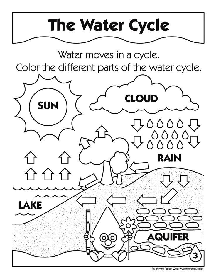 Photosynthesis Coloring Sheet - Coloring Pages for Kids and for Adults