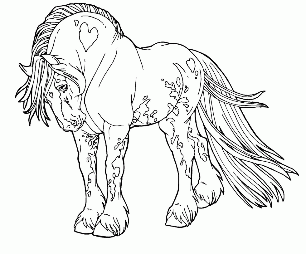 Coloring Pages: Horse Coloring Pages Pictures Colorine Horse ...