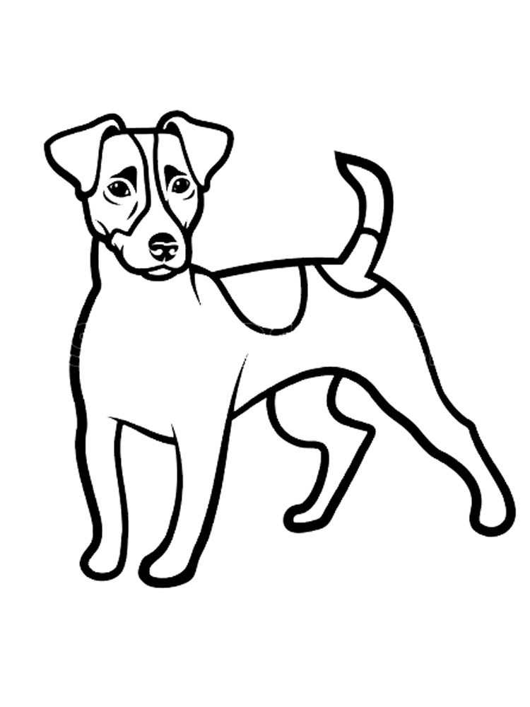 Jack Russell Terrier coloring pages