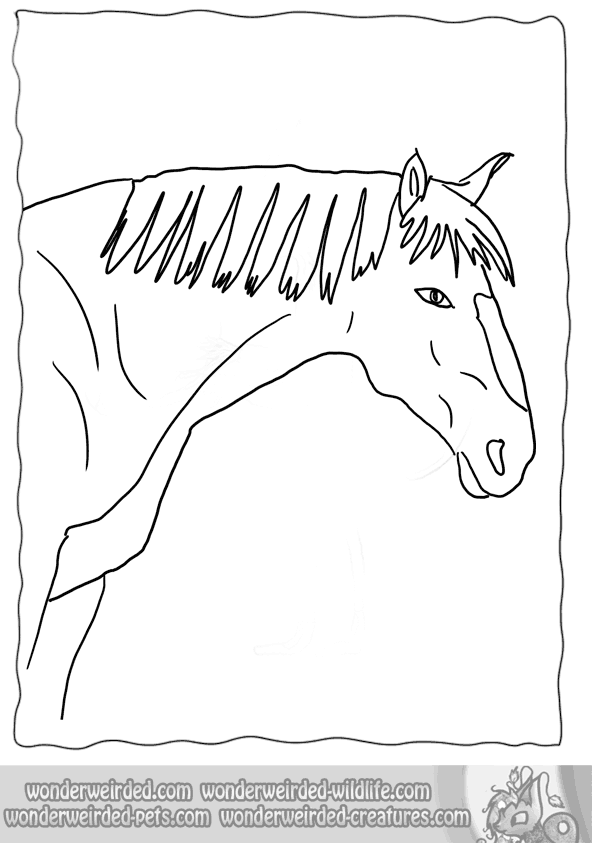 Free Horse Picture to Color, Echo's Free Horse Coloring Pages to ...