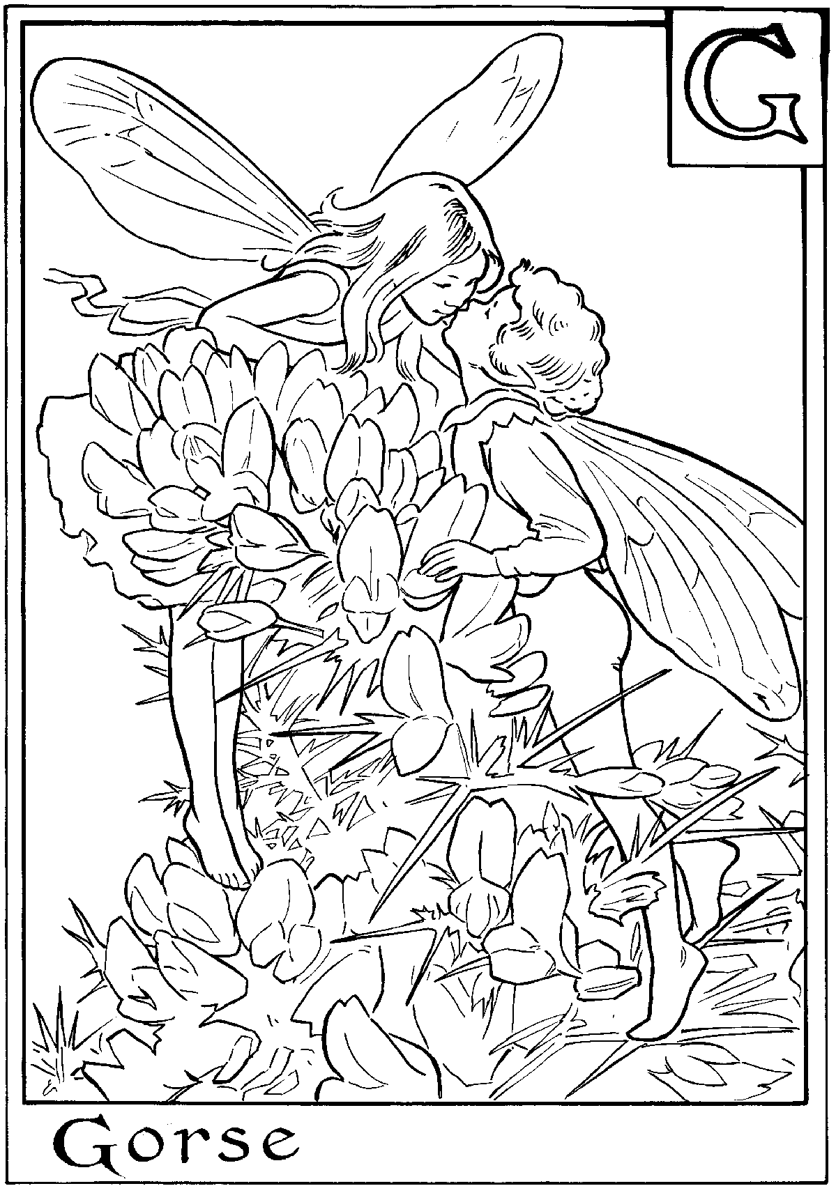 Fairy To Print - Coloring Pages for Kids and for Adults