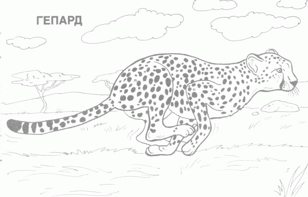 wild-animal-coloring-pages-printable-home-606551 Â« Coloring Pages ...