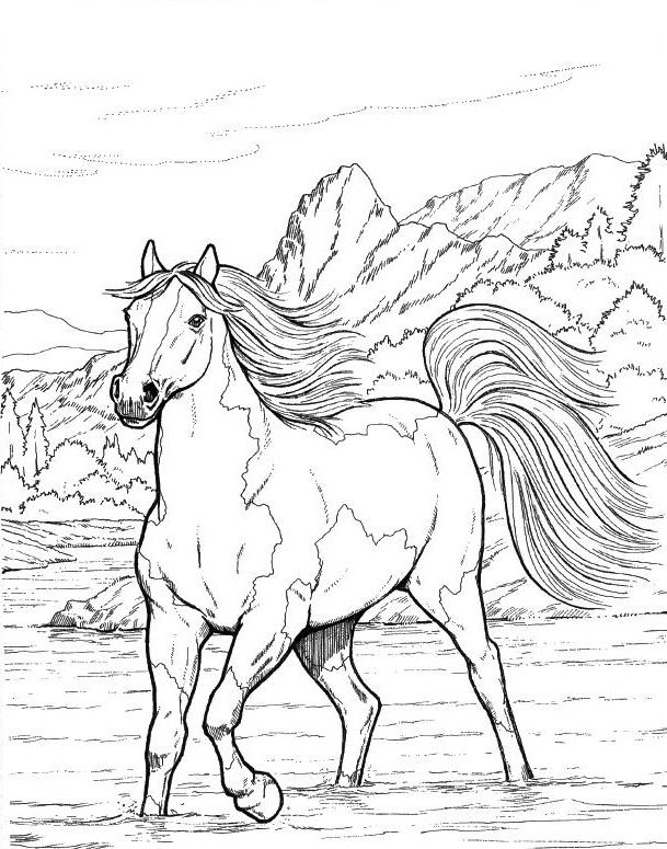 Horse Coloring Pages for Adults - Best Coloring Pages For Kids | Horse  coloring pages, Horse coloring books, Horse coloring